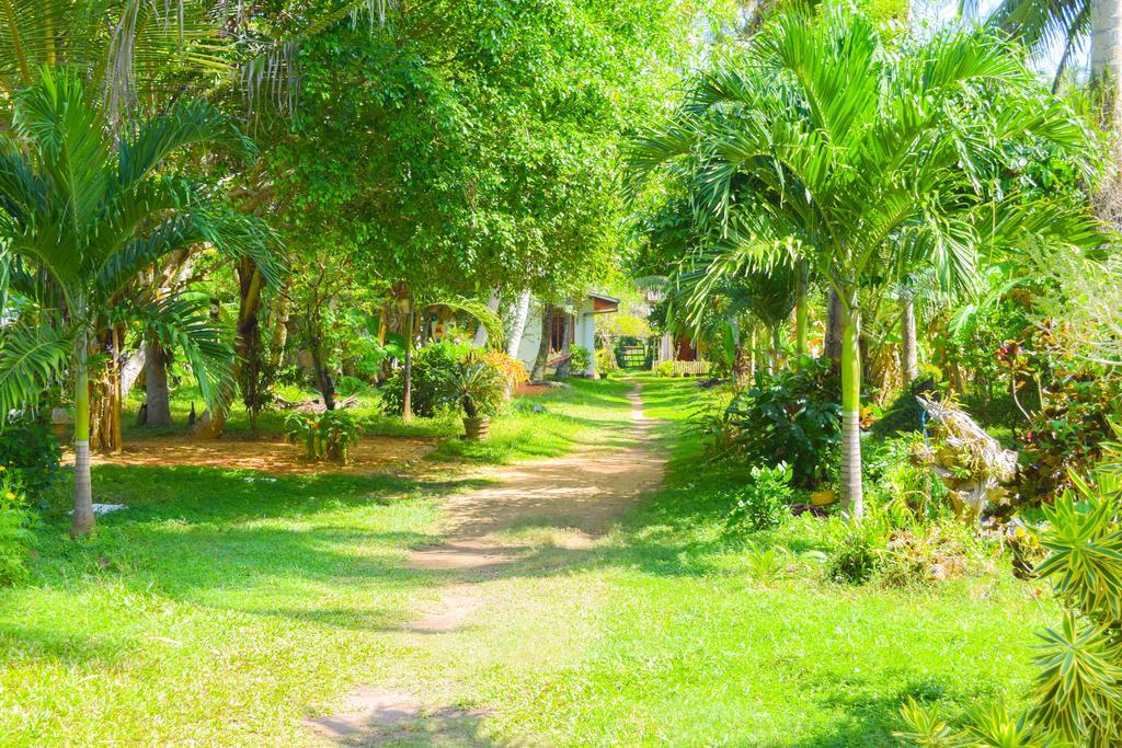 Shammie Guest House Hikkaduwa Luaran gambar